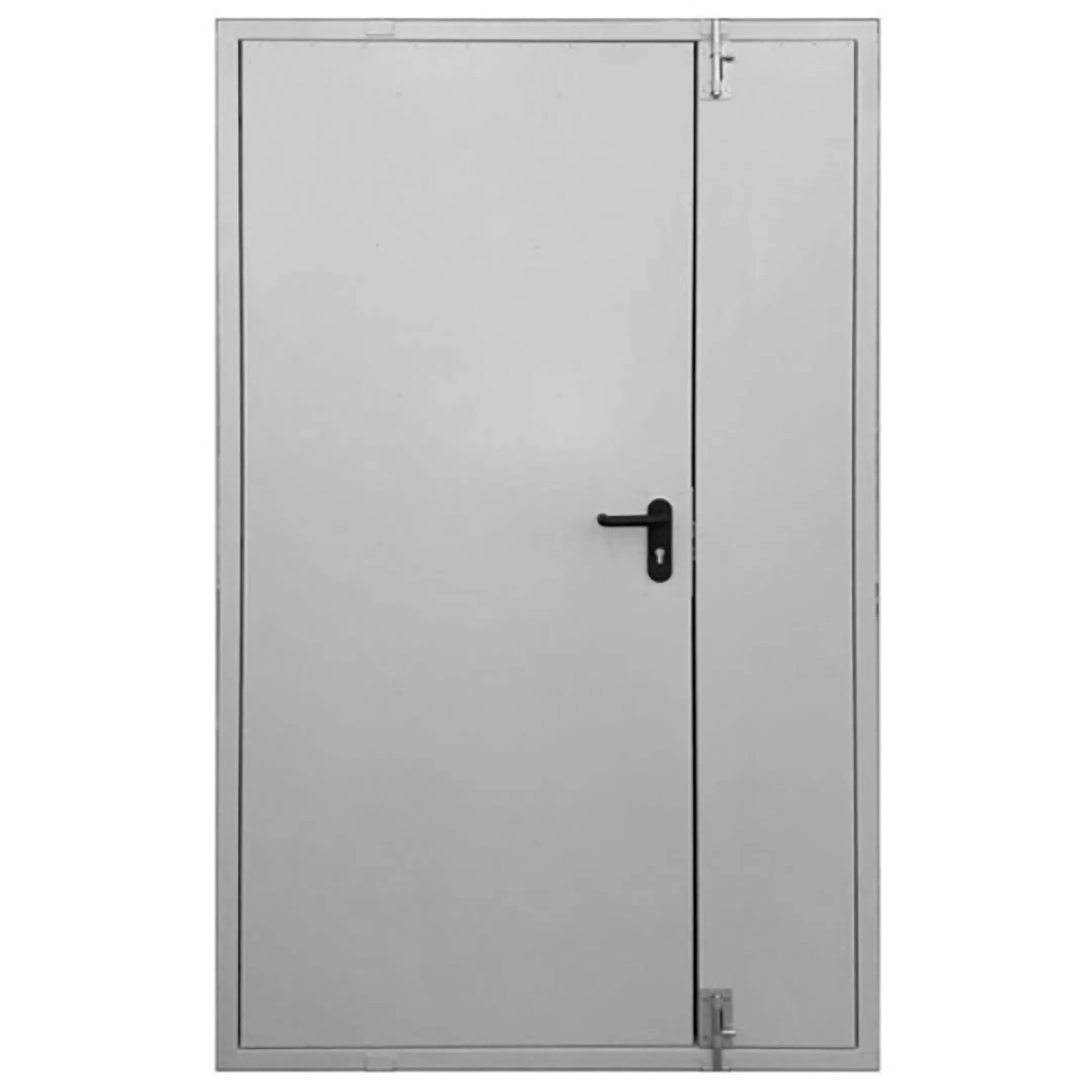 Дверь тамбурная металлическая ДТ-2-1300х2000